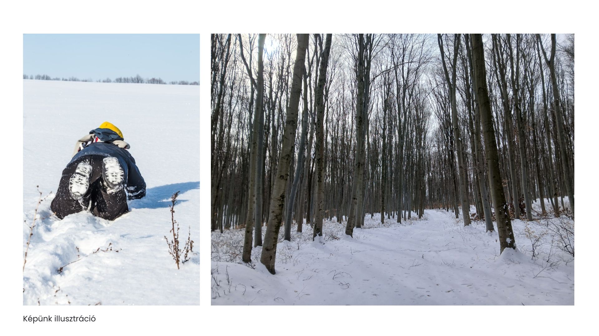 Képünk illusztráció.jpg